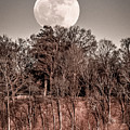 0637_Full Moon 