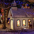 1570_Christmas Lights