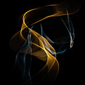 ICM_Blue and Gold_2979